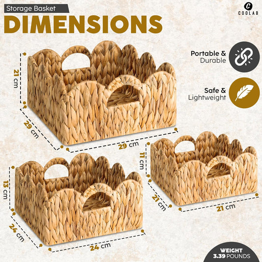 Elegant Scalloped Wicker Basket Set with Handles - Set of 3 | Handwoven Water Hyacinth Baskets for Nursery, Bathroom, Living Room Decor, Scalloped Edge Basket Shelf Decorative (Water Hyacinth)